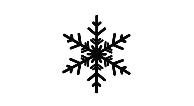 Intricate black snowflake design against a white background silhouette