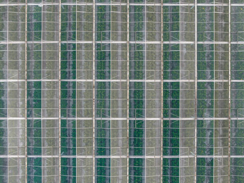 Aerial view of a geometric tapestry of glass panels and linear frames, a mosaic of light and shadow, Tredarzec, Bretagne, France.