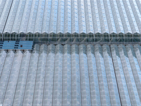 Aerial view of a vast, shimmering grid of greenhouses stretching as far as the eye can see, reflecting the sky above, Tredarzec, Bretagne, France.