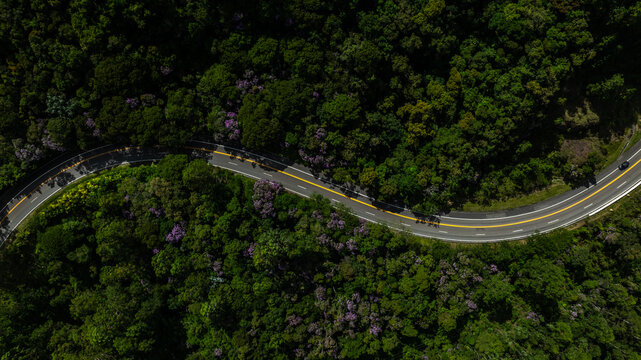 Aerial view of a winding road cutting through a dense forest, contrasting the dark green canopy with the bright yellow lines, Curitiba, Brazil.