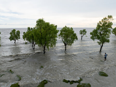 Aerial view of trees standing resiliently in the muddy waters along Sitakund - Golabaria Rd, Chattogram, Chittagong Division, Bangladesh.