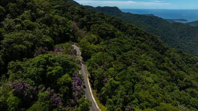 Aerial view of a winding road slicing through a vibrant green forest, contrasting with the distant blue ocean, Ubatuba, Brazil.