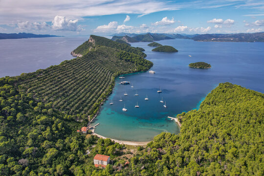 Aerial view of emerald waters embracing the verdant fig and almond plantations of Jakljan in the Elaphiti Islands, white sailboats dotting the tranquil bay, Dubrovnik, Dalmatian Coast, Croatia.
