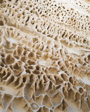 View of the abstract beige patterns of weathered rock formations create a mesmerizing natural honeycomb texture, Koyulus, Mangystau Region, Kazakhstan.