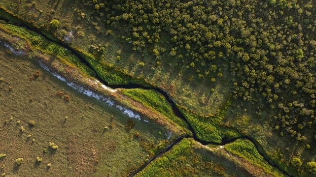 Aerial view of a sinuous, dark water stream cutting through the vibrant green and brown fields, bordered by a dense forest, West Palm Beach, Florida, United States.