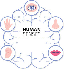 Medical illustration of hearing smell and sight sensory icons vector