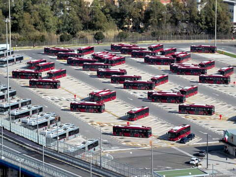 Aerial view of neat rows of parked buses with their striking red accents contrasting against the stark grey asphalt, Rome, Lazio, Italy.