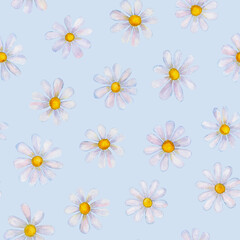 Seamless Watercolor Chamomile Pattern on Soft Blue Background