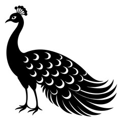 Fototapeta premium Peacock Silhouette Vector On Transparent Background