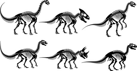 Detailed dinosaur skeleton vector silhouette set for museum branding and educational science graphics. © Abdul