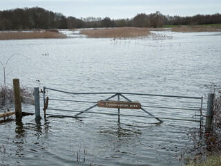 Heavily flooded British conservative nation area in eastern England after months of heavy rains which has caused nearby rivers to burst there banks. © Nick Beer
