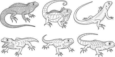 Detailed lizard and iguana line art sketch vector set featuring various reptiles in different poses for scientific illustration nature education biological drawing and vintage tattoo designs