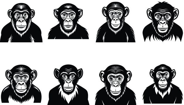 black and white illustration of a mankey