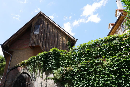 Historisches Haus hinter Mauer mit Tor und Kletterpflanzen