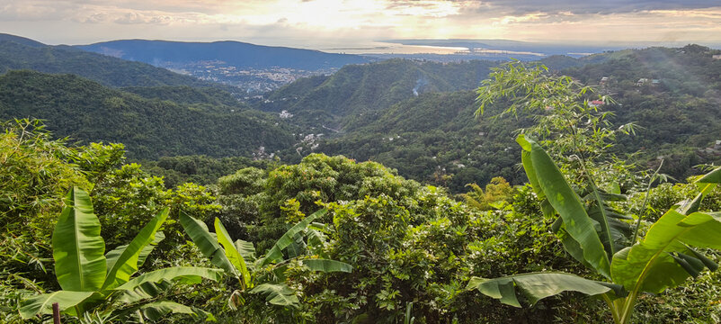 Landscape at the Blue Mountains in Jamaica