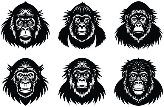 black and white illustration of a mankey