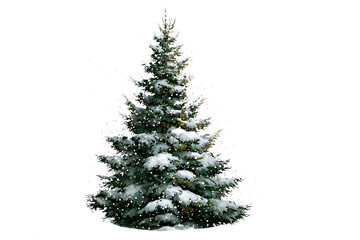Beautiful Evergreen Christmas Tree Covered with Fresh White Snow, isolated on a transparent background.