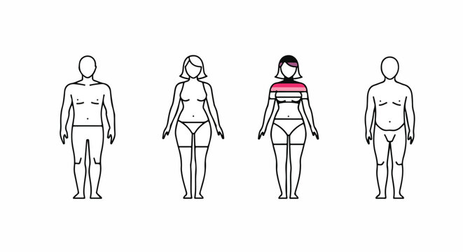 Diverse Human Body Types Illustration: Male and Female Figures with Different Shapes, Emphasizing Body Diversity and Health Concepts