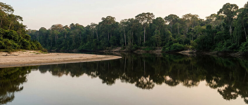 Wide tropical river bend with sandbar and dense rainforest