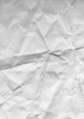 Fototapeta premium Large vector halftone crumpled paper texture with a transparent background