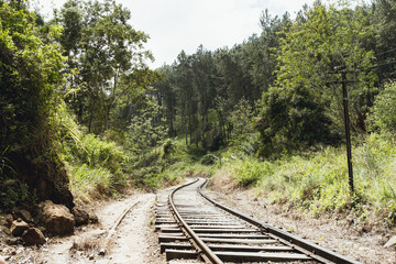 Obraz premium スリランカのエッラにあるナインアーチブリッジ