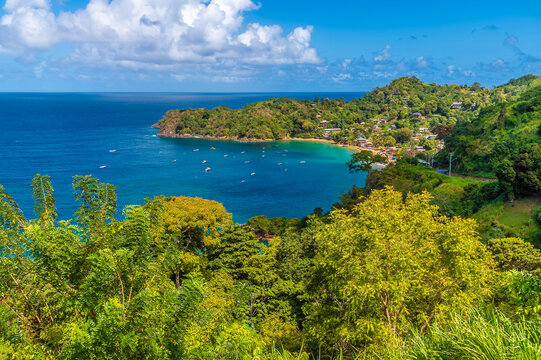 A view past trees over Castara Bay in Tobago on a bright day in January 