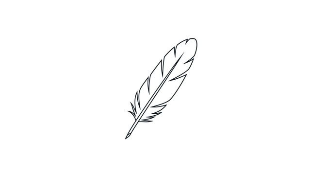 Detailed drawing of a single feather.