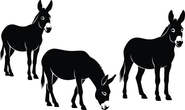 Donkey silhouette vector set with standing and grazing poses, black farm animal illustration isolated on white background