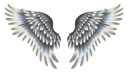 Obraz premium Pair of silver angel wings on white background feathers isolated on a transparent background