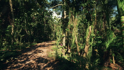 Fototapeta premium Sunlit forest path with dappled canopy and leaf litter, winding dirt trail framed by tall trees and dense undergrowth, warm golden lateafternoon light creating