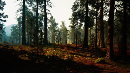 sunlit pine forest in golden light warm rays, dappled shadows across leaf litter and grassy clearing, sunbeams filtering through canopy, vibrant palette