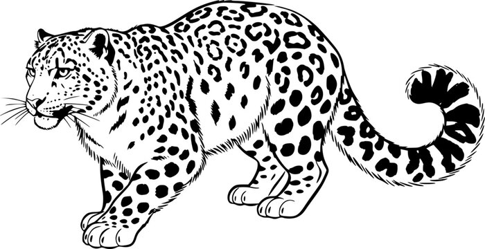 Elegant monochrome sumi-e depiction of a captivating snow leopar
