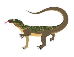 Obraz premium flat vector komodo dragon side view illustration