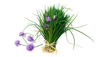 Fresh chives, vibrant purple flowers