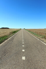 Wheat fields beside asphalt road near Hontanas in 2024