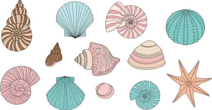 Collection of pastel seashell icons and starfish vector set featuring scallops conch snails and sea urchin for summer beach and nautical design