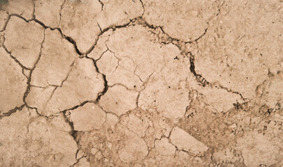 Fototapeta premium dry ground with cracks on the surface.