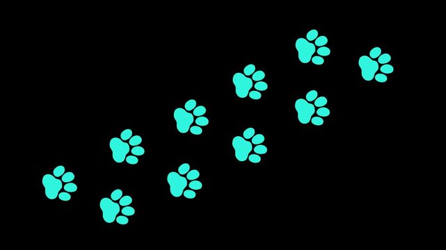 Animal paw print footsteps animation creating a moving trail on black background. Pet care, veterinary clinic, adoption campaign, and wildlife concept motion graphic in flat design style. 4K video