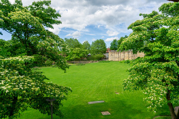 Scenic Inner Courtyard of Esslingen Castle Burg Featuring Lush Green Lawn Medieval Stone Walls and Flowering Trees in Esslingen am Neckar Germany