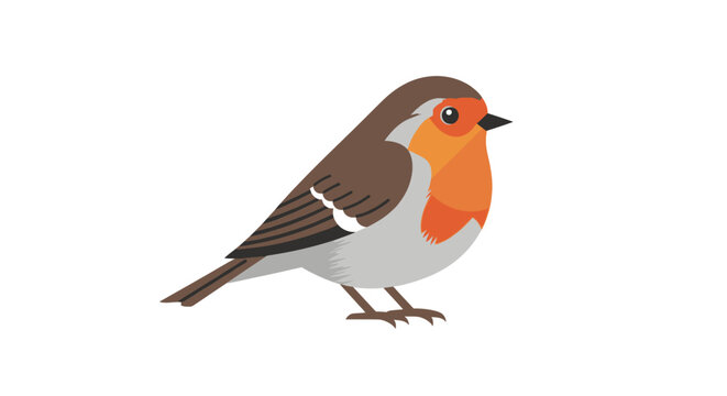 European Robin Bird Illustration Isolated White.