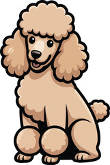 Cute cartoon a illustrator vector Standard Poodle