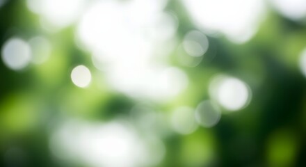 Fototapeta premium Blurry green and white bokeh light effect background with natural ambiance