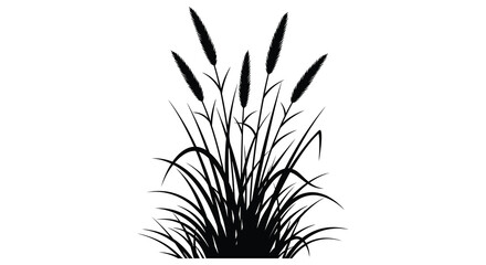 A striking black and white illustration depicts cattails and grasses against a bright white background a bold silhouette © Asikder02