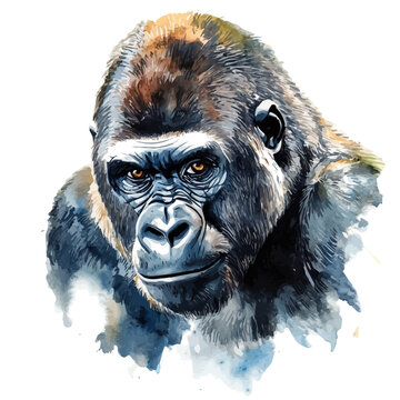 Gorilla, watercolor illustration, vector, isolated on a white background.
