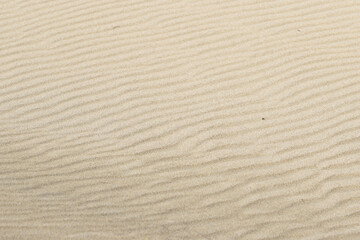 Fototapeta premium Golden sand ripples texture background with natural desert and beach patterns