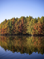 Colorful Trees Reflecting in Water at Xiamen Yuanbo Garden, Fujian