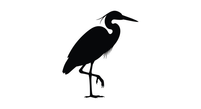 A striking black silhouette of a long legged wading bird possibly a heron or egret stands poised and elegant silhouette