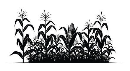 A striking black and white illustration depicts a dense field of corn stalks and ears presented as a silhouette © Nupur02