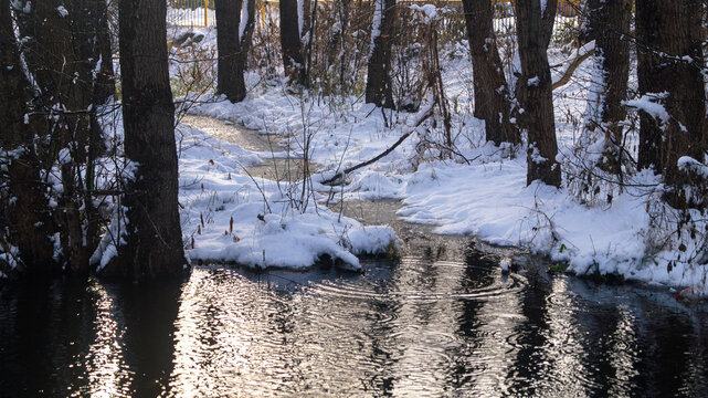 A small stream in a snowy forest. A small river in a snowy forest with glints on the surface and snow-covered banks