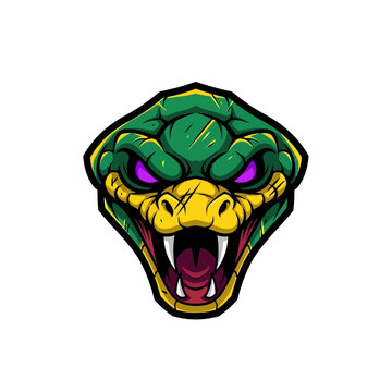 Vibrant snake head illustration on white background with sharp details